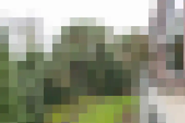 Rembrandtlaan 17 11 Bilthoven thumbnail 24