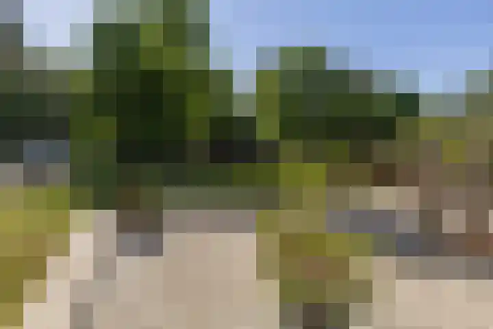 Rembrandtlaan 17 11 Bilthoven thumbnail 38