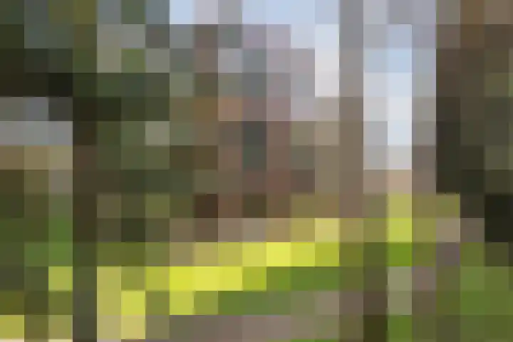Rembrandtlaan 17 11 Bilthoven thumbnail 39