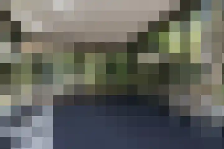 Rembrandtlaan 17 11 Bilthoven thumbnail 4