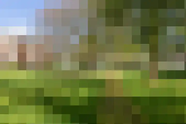 Rembrandtlaan 17 11 Bilthoven thumbnail 40