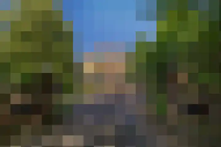 Rembrandtlaan 17 11 Bilthoven thumbnail 48