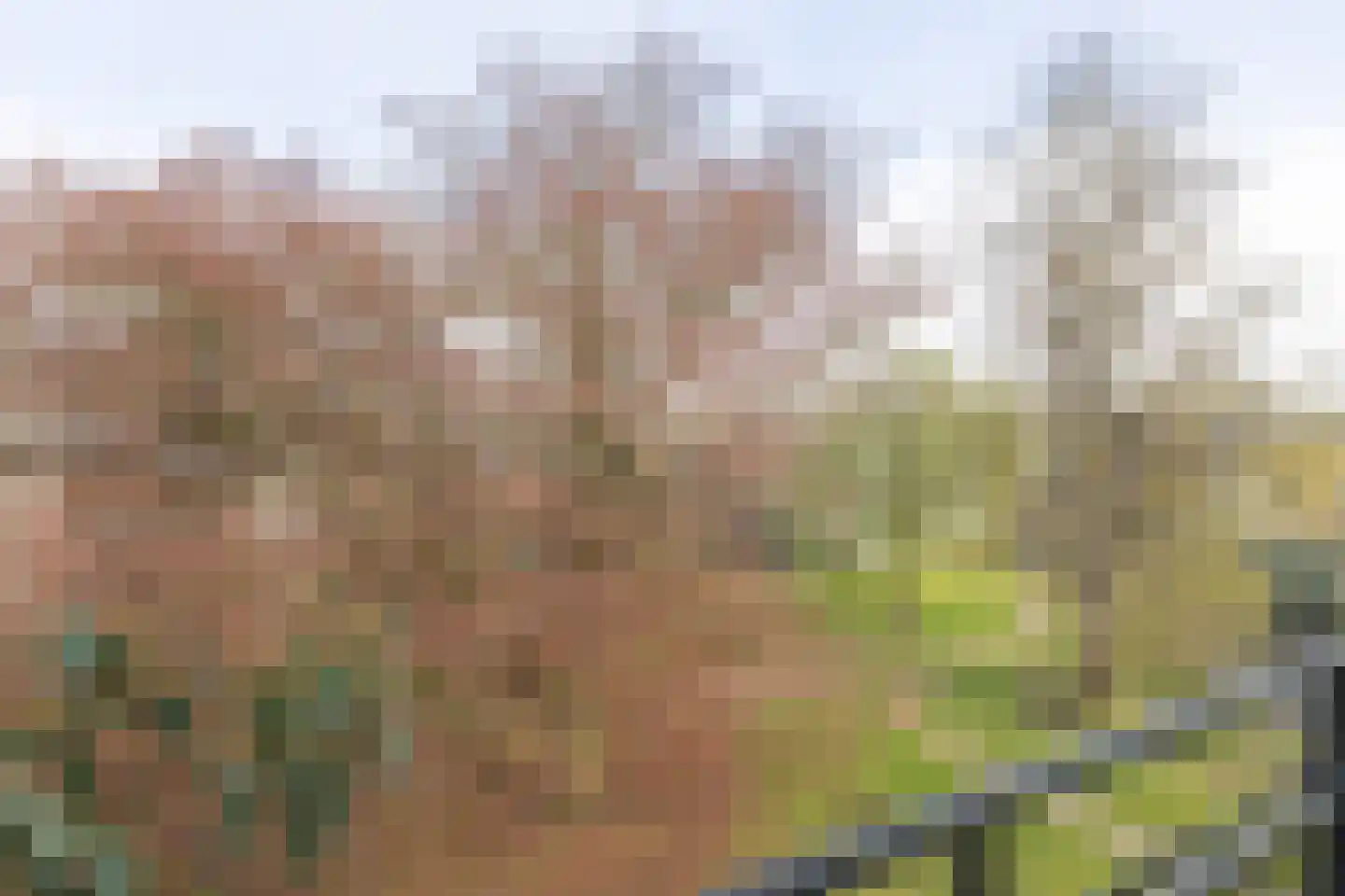Rembrandtlaan 17 19 Bilthoven thumbnail 24