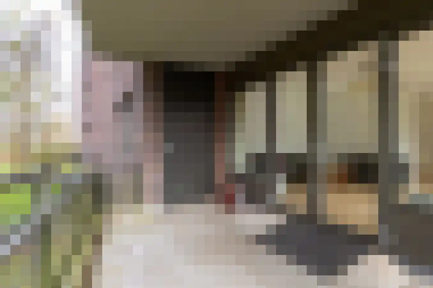 Rembrandtlaan 17 27 Bilthoven thumbnail 27