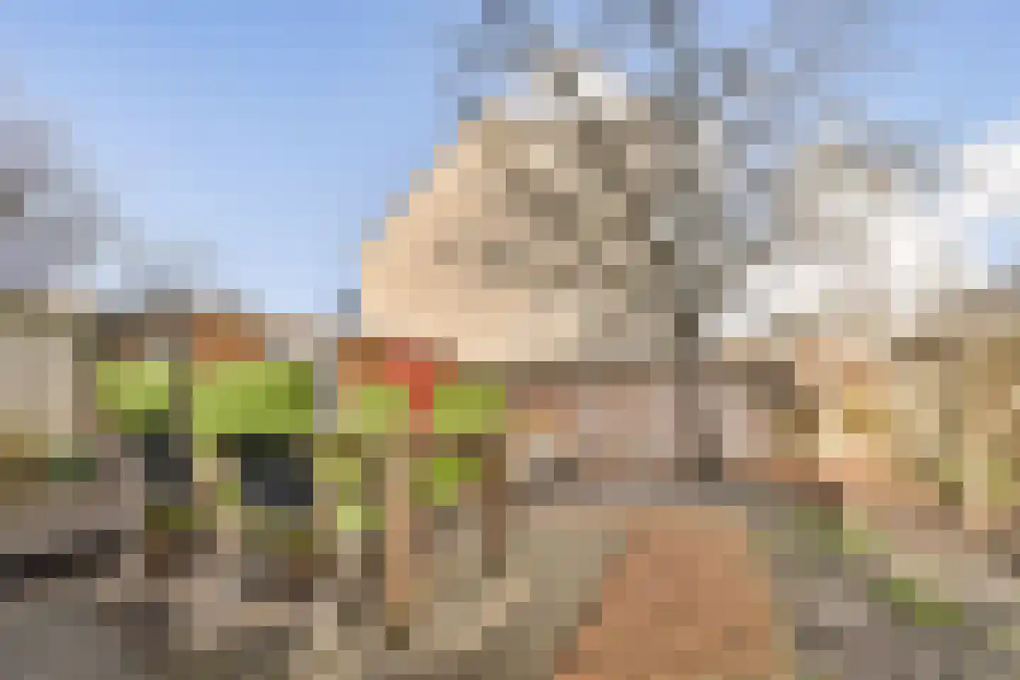 Rembrandtlaan 17 Dordrecht thumbnail 24