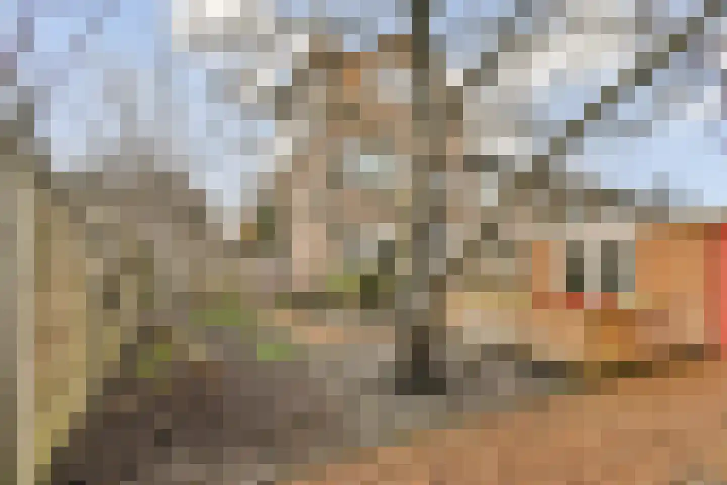 Rembrandtlaan 17 Dordrecht thumbnail 26