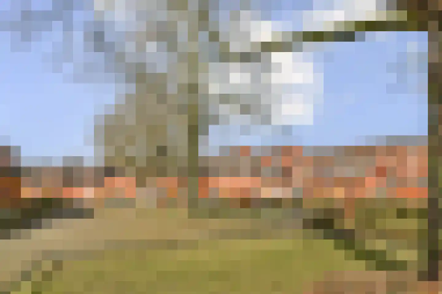 Rembrandtlaan 17 Dordrecht thumbnail 28