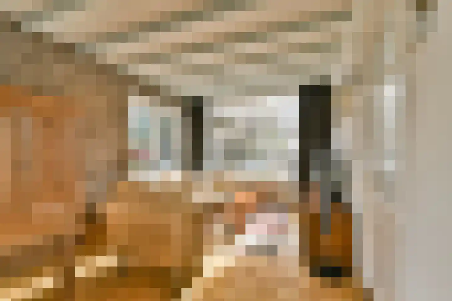 Rembrandtlaan 17 Dordrecht thumbnail 4