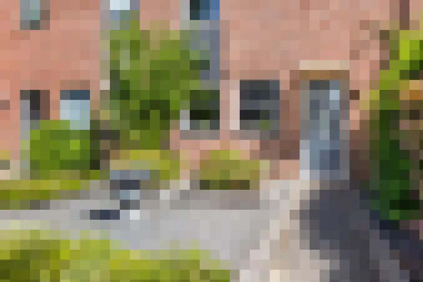 Rembrandtlaan 17 Ede thumbnail 30