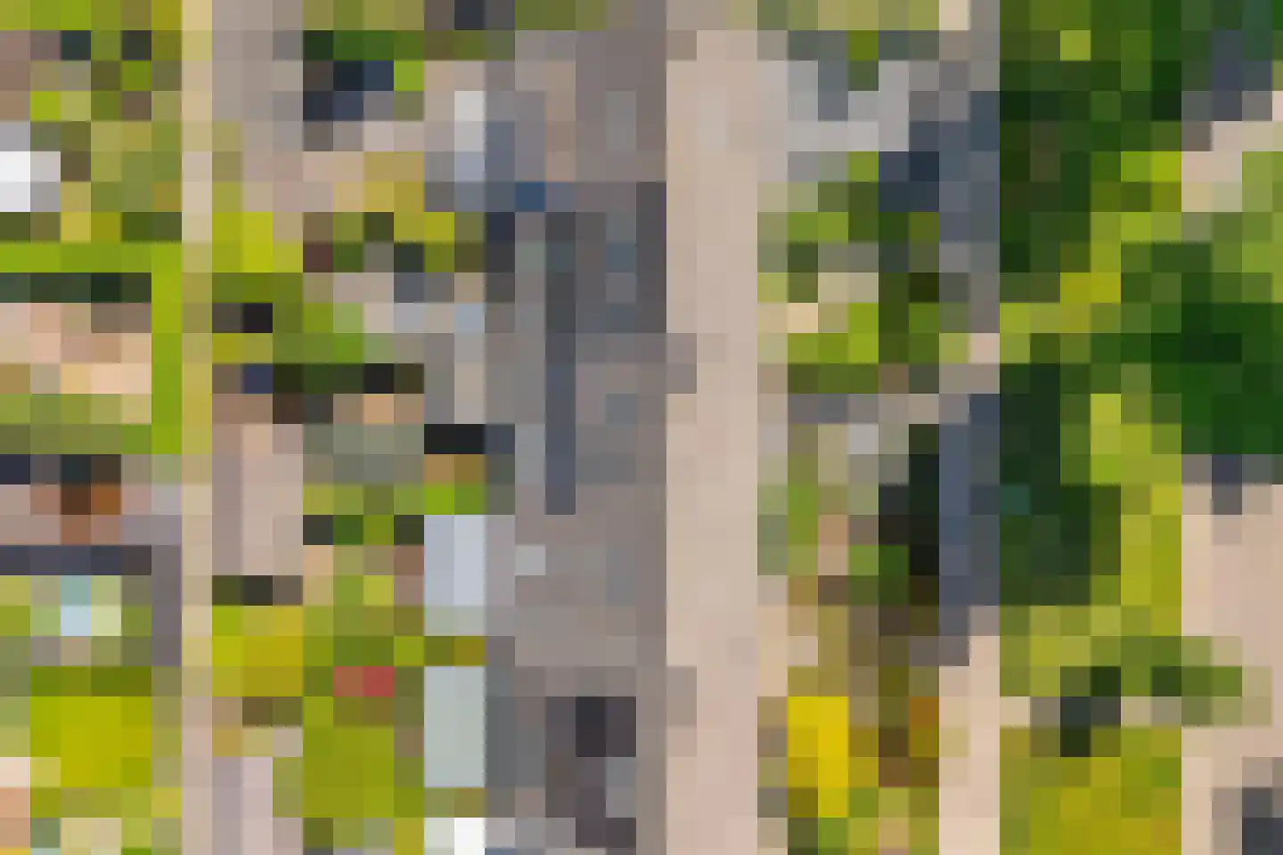 Rembrandtlaan 17 Ede thumbnail 34