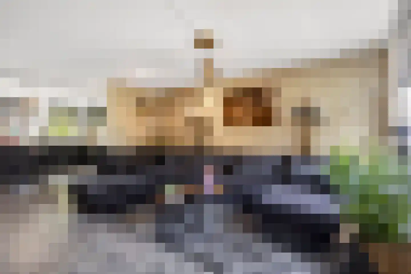 Rembrandtlaan 17 Ede thumbnail 5