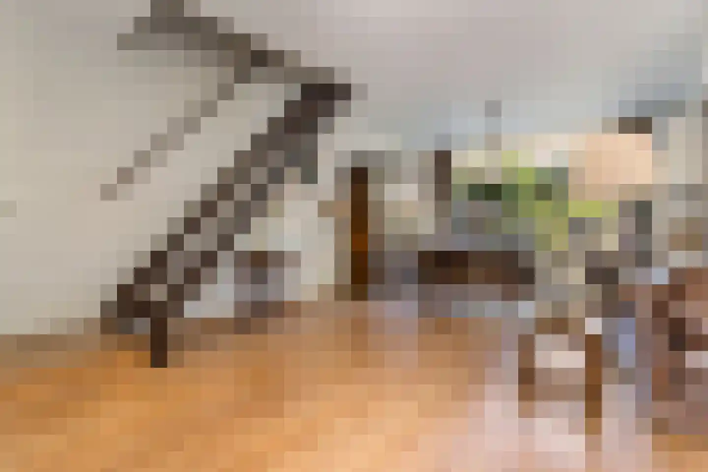 Rembrandtlaan 17 Papendrecht thumbnail 12