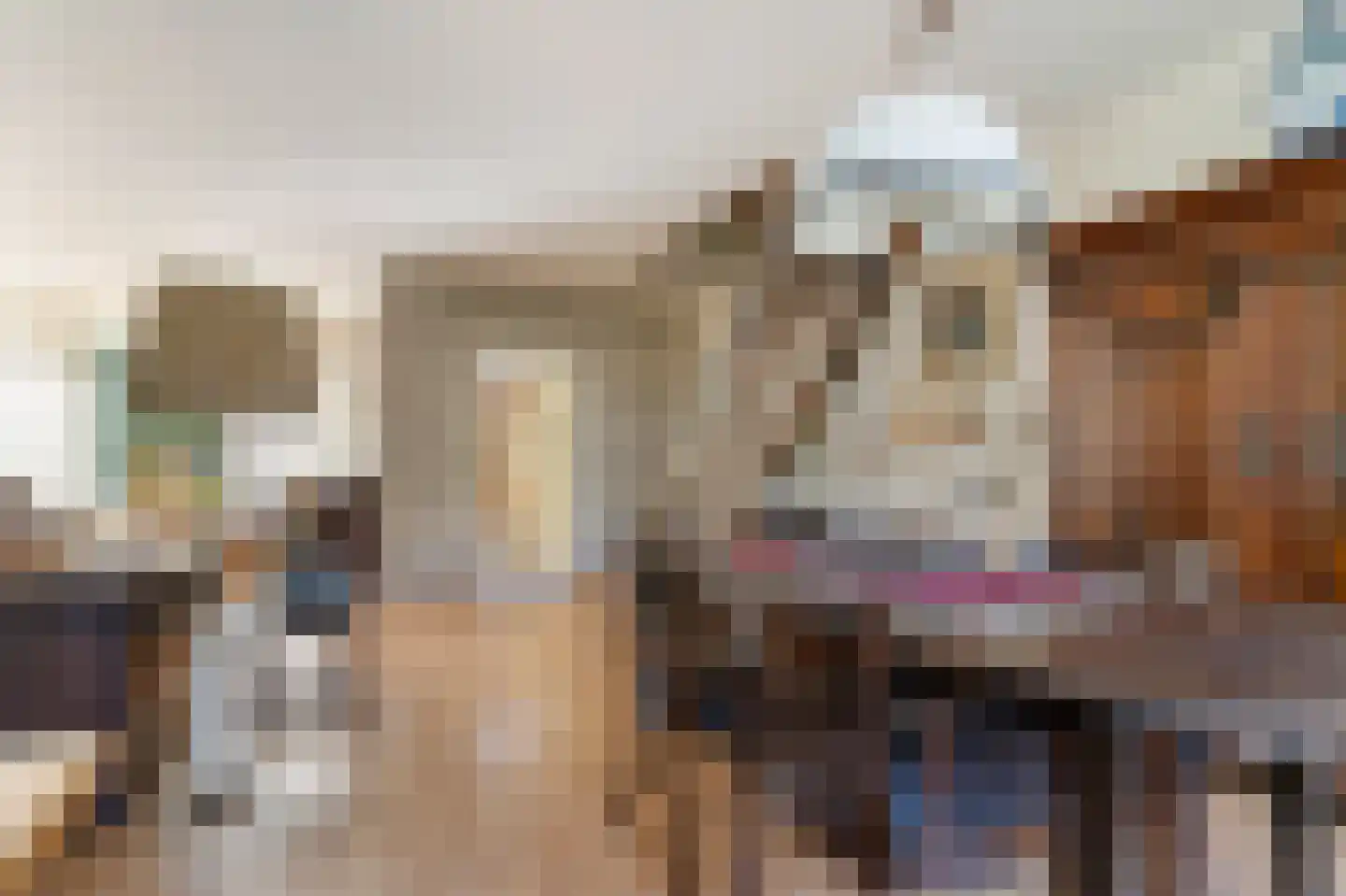 Rembrandtlaan 17 Papendrecht thumbnail 14