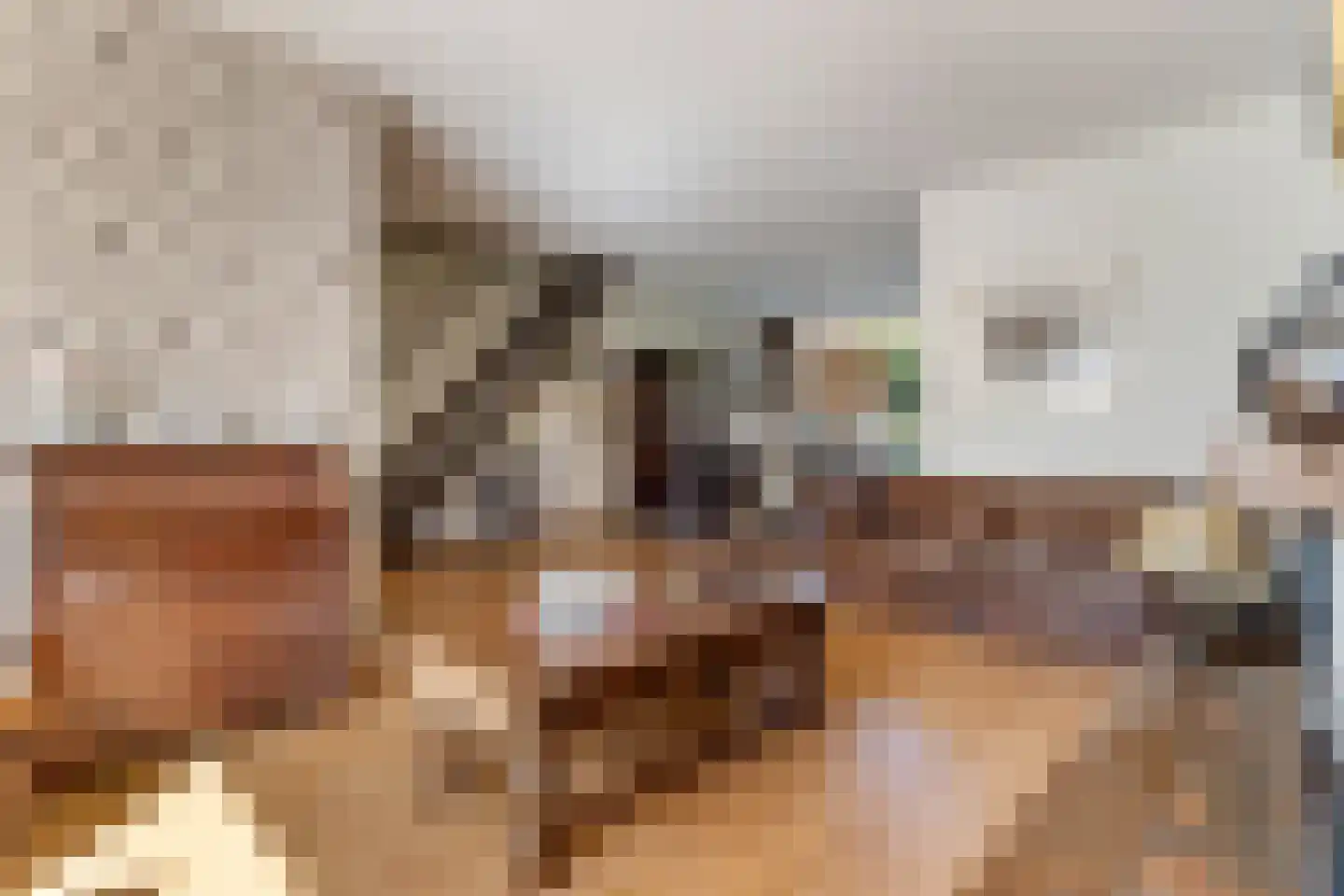 Rembrandtlaan 17 Papendrecht thumbnail 15