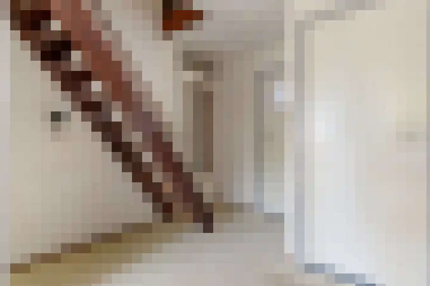 Rembrandtlaan 17 Papendrecht thumbnail 21
