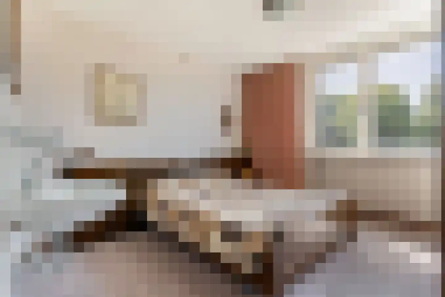 Rembrandtlaan 17 Papendrecht thumbnail 26