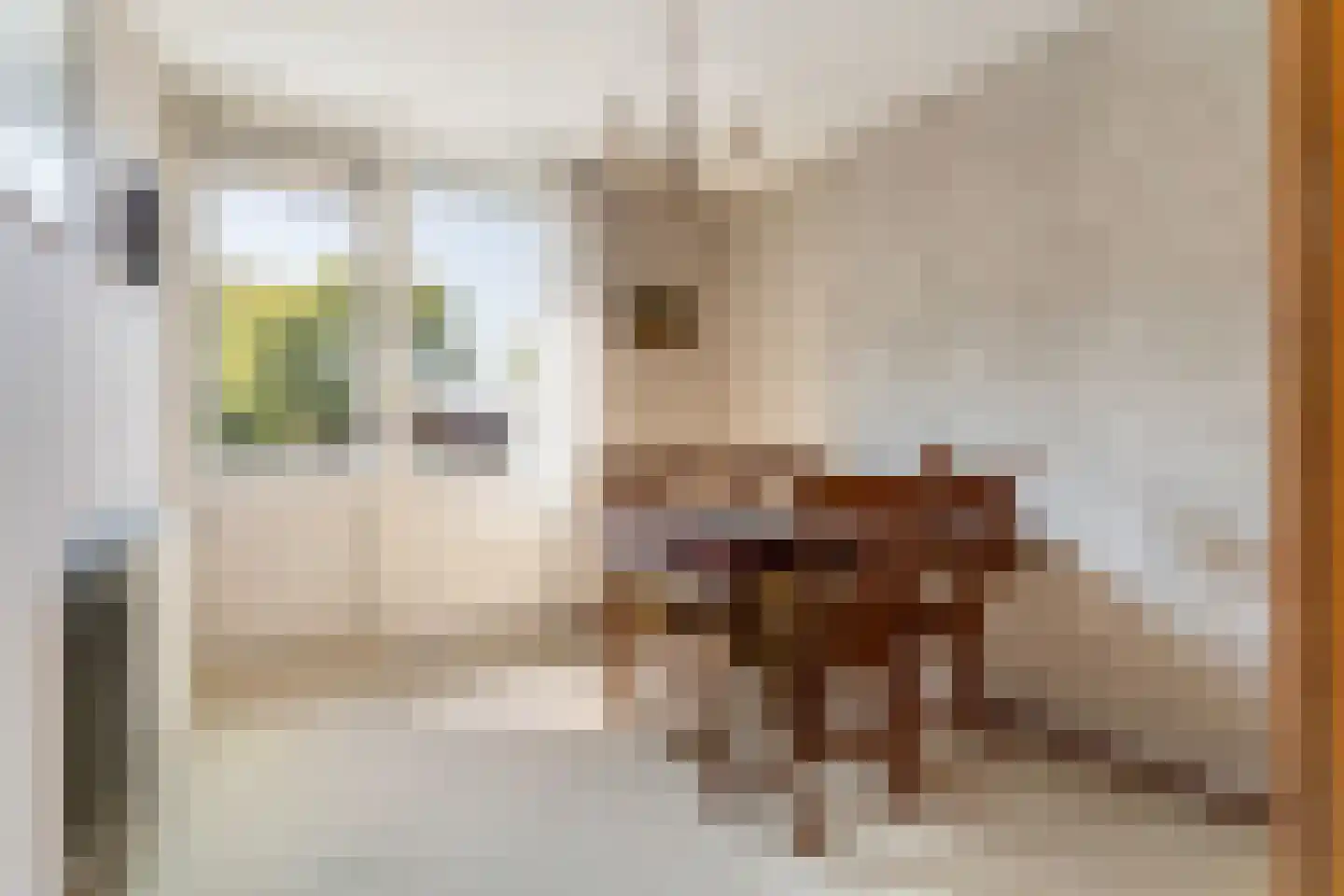 Rembrandtlaan 17 Papendrecht thumbnail 28