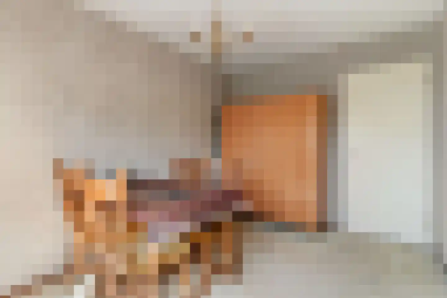 Rembrandtlaan 17 Papendrecht thumbnail 29