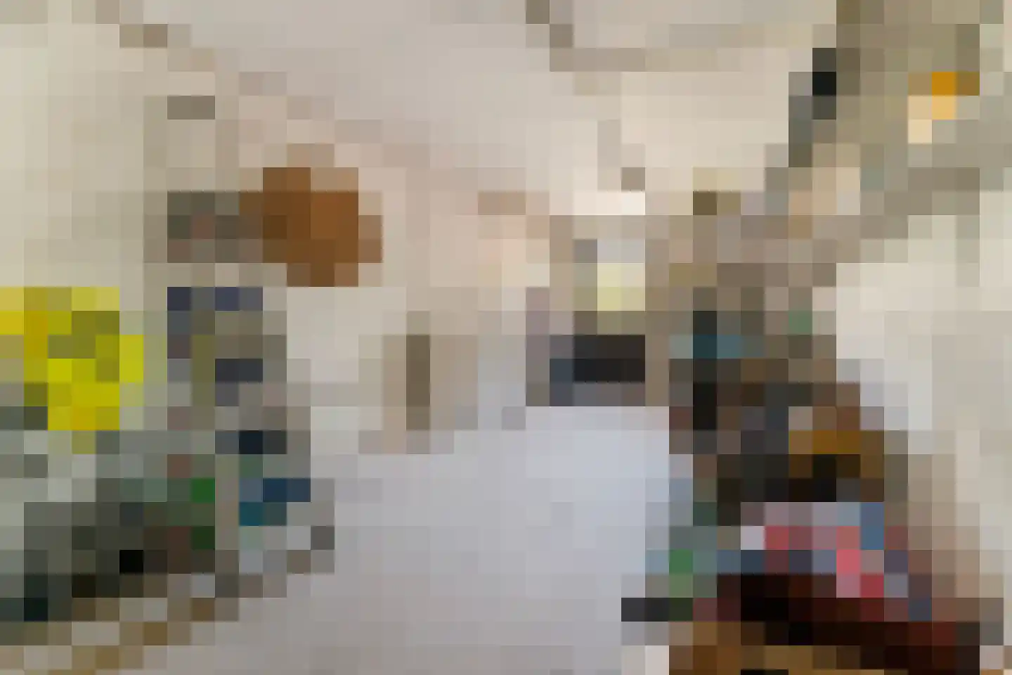 Rembrandtlaan 17 Papendrecht thumbnail 37