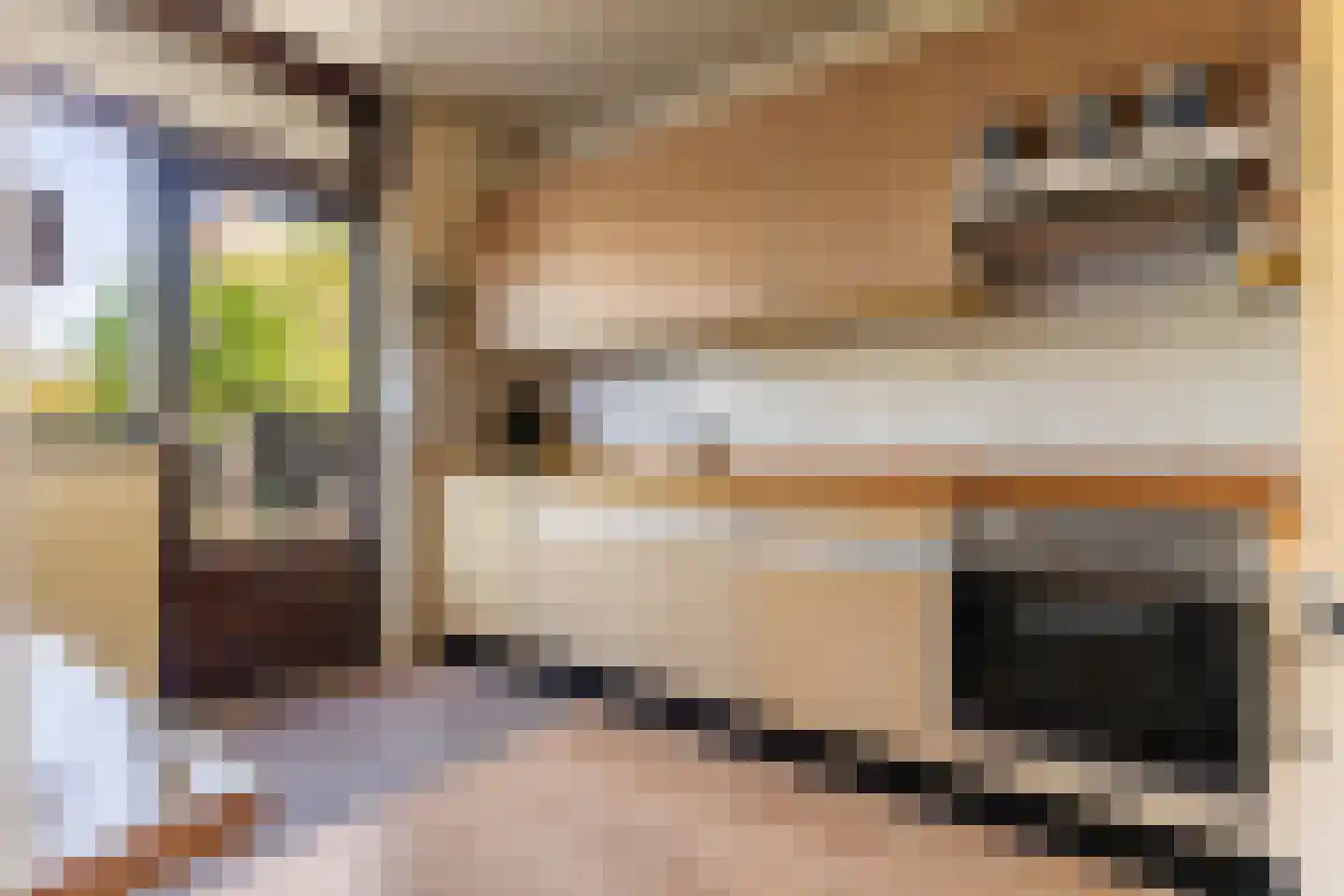 Rembrandtlaan 17 Papendrecht thumbnail 4