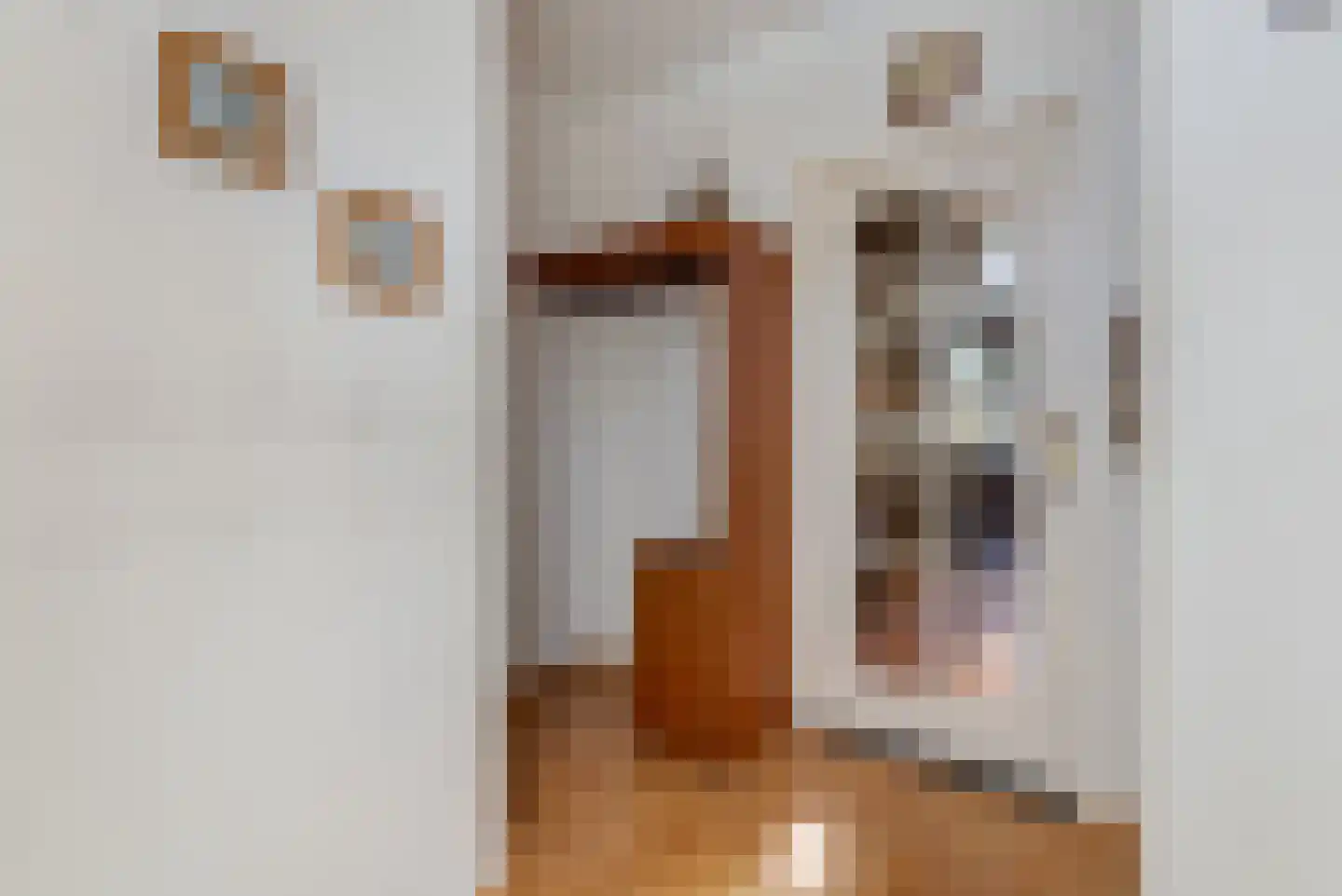 Rembrandtlaan 17 Papendrecht thumbnail 9