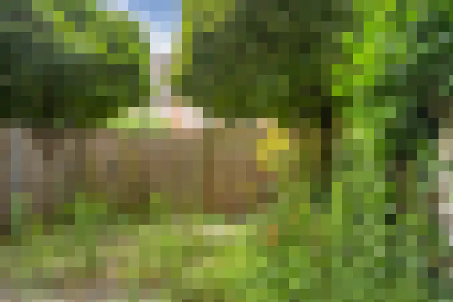 Rembrandtlaan 172 Ede thumbnail 18