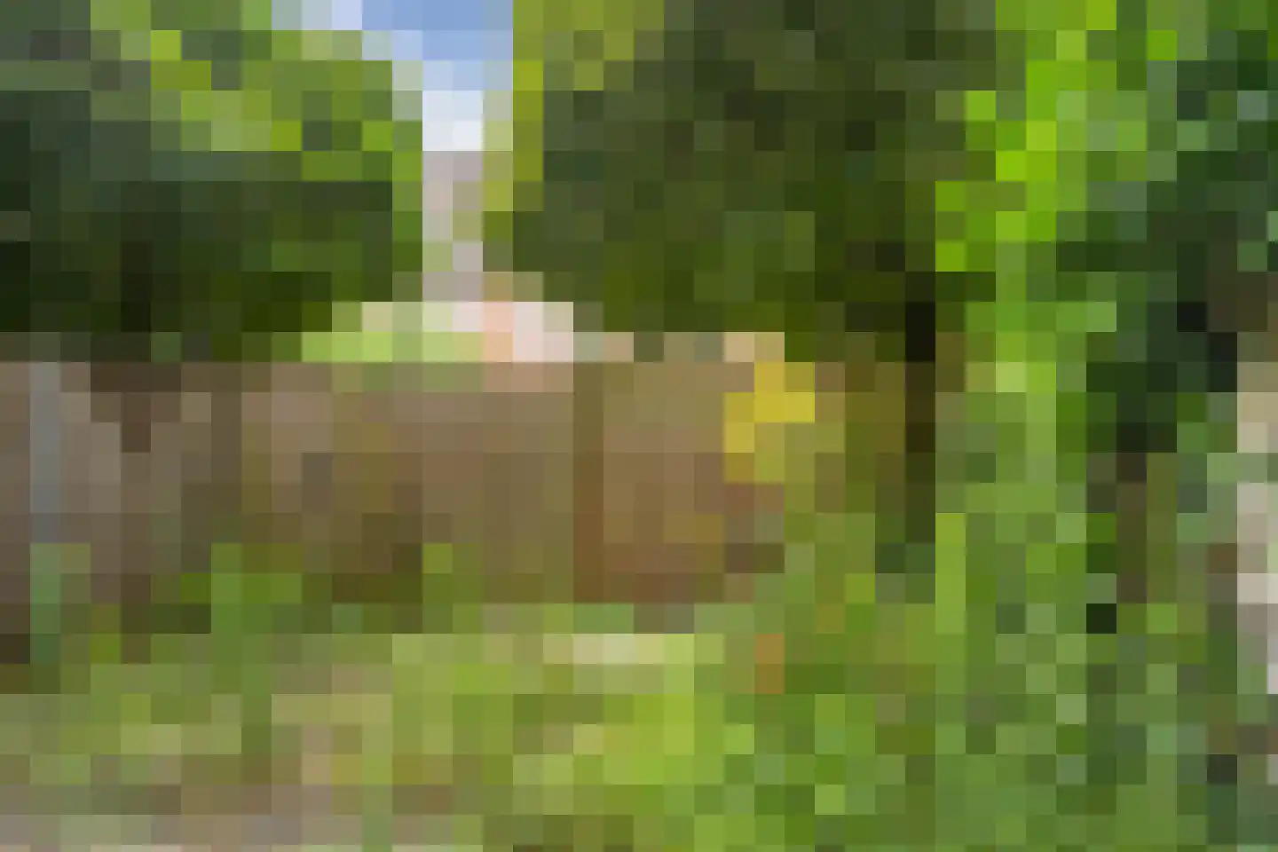 Rembrandtlaan 172 Ede thumbnail 4