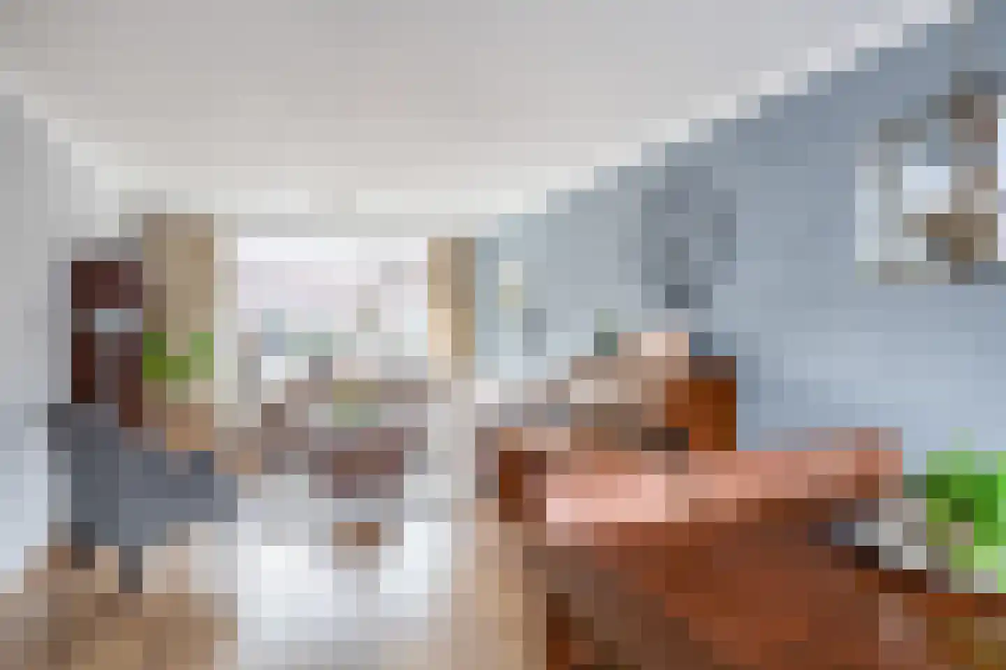 Rembrandtlaan 173 Middelharnis thumbnail 13
