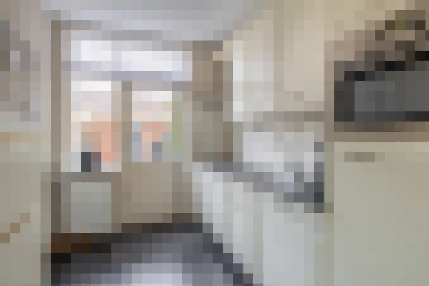 Rembrandtlaan 173 Middelharnis thumbnail 15