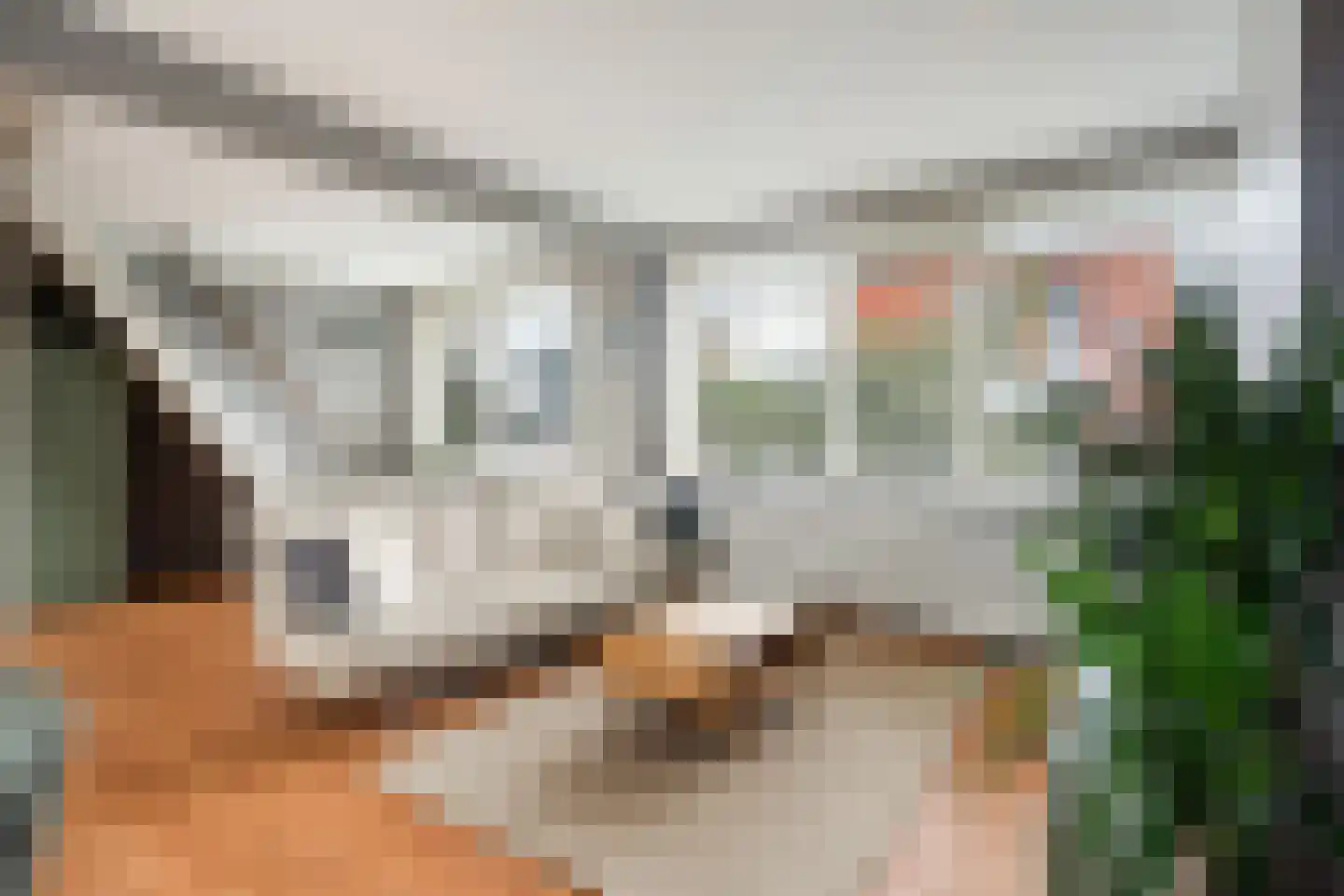 Rembrandtlaan 175 Woerden thumbnail 12
