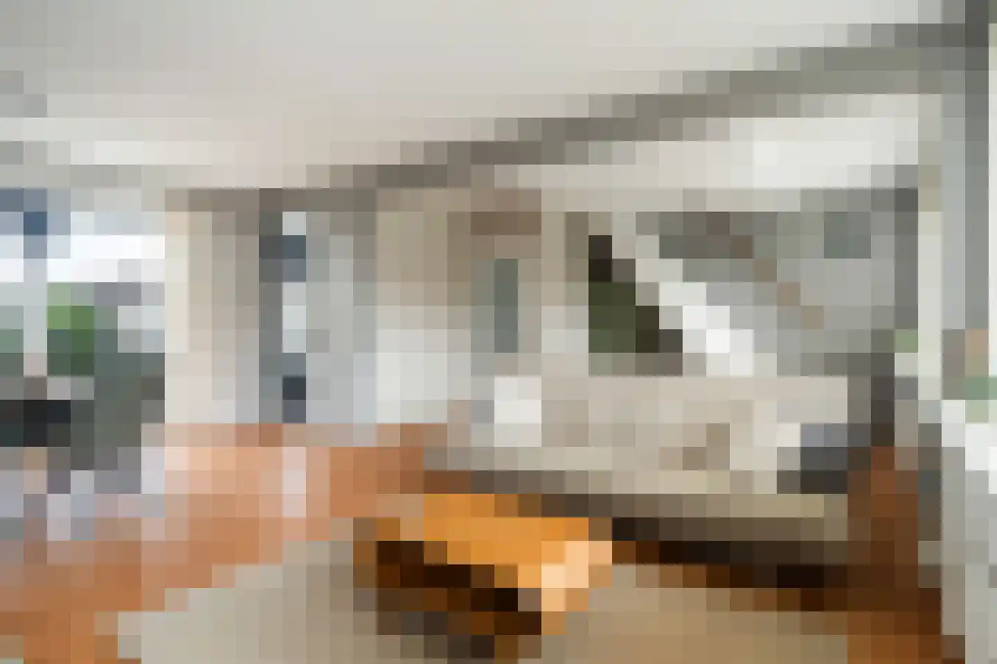 Rembrandtlaan 175 Woerden thumbnail 13
