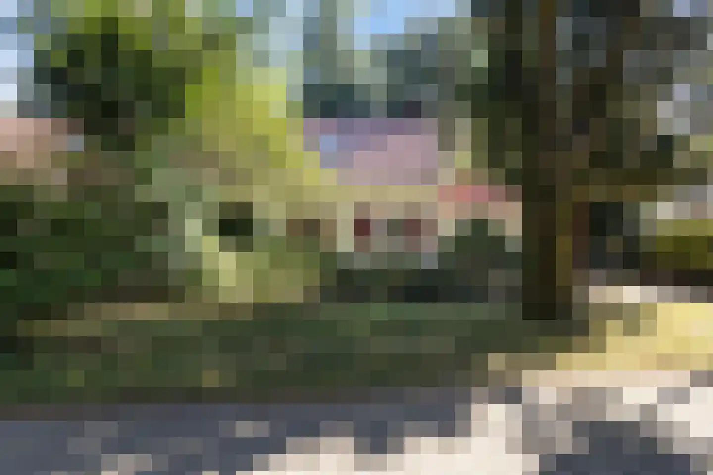 Rembrandtlaan 18 C in Huis ter Heide