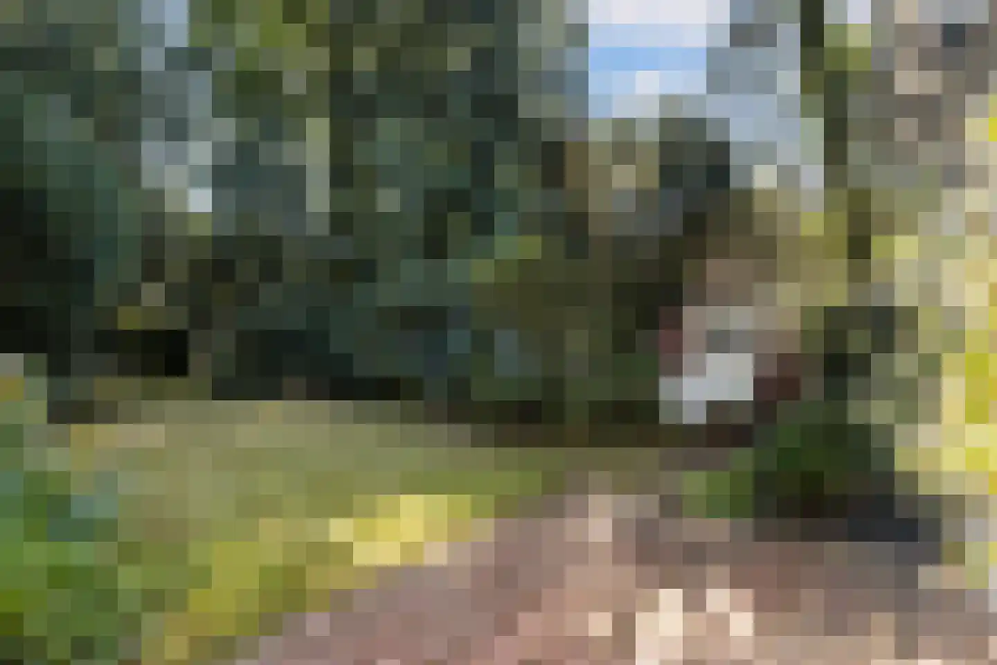 Rembrandtlaan 18 C Huis ter Heide thumbnail 17