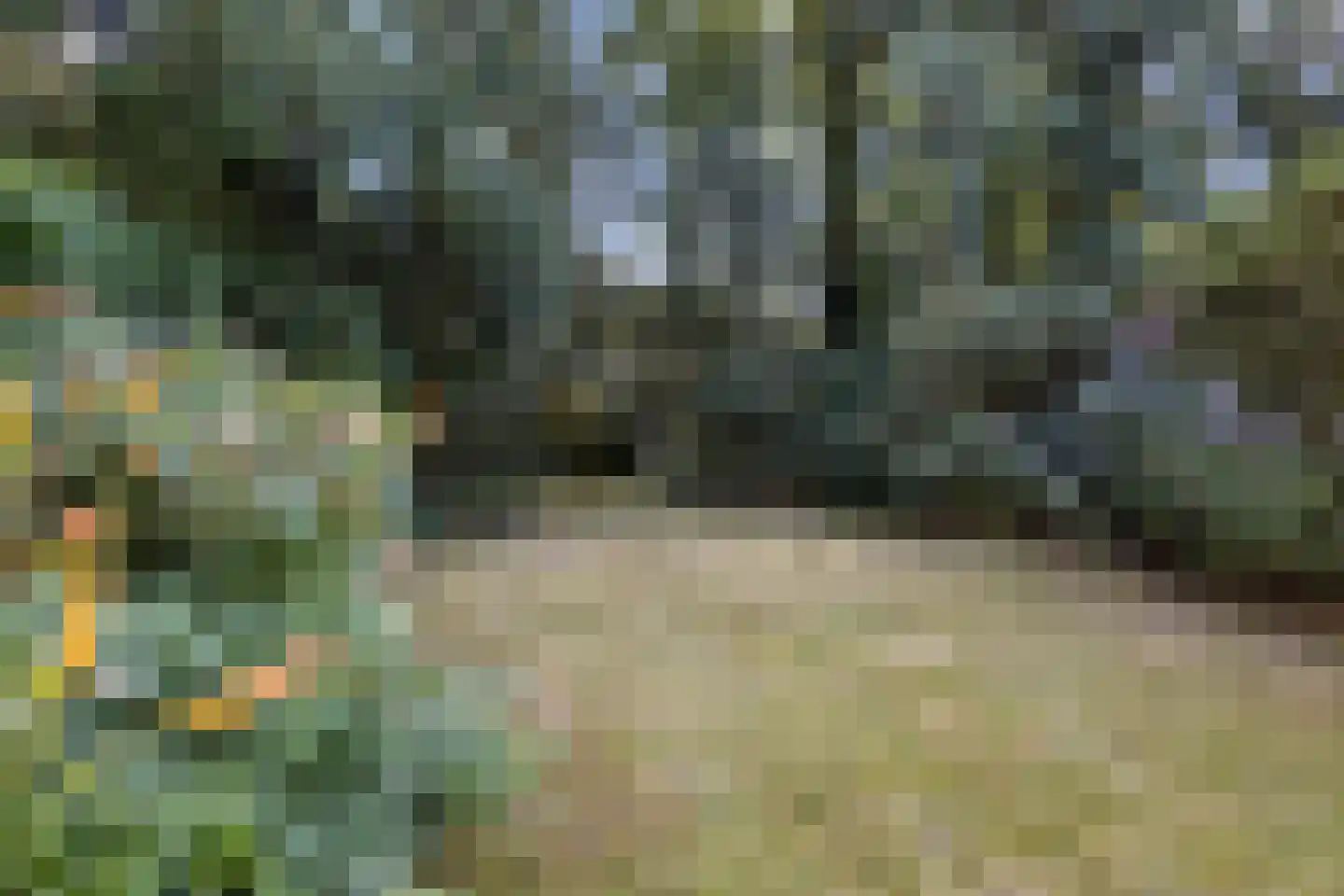 Rembrandtlaan 18 C Huis ter Heide thumbnail 19