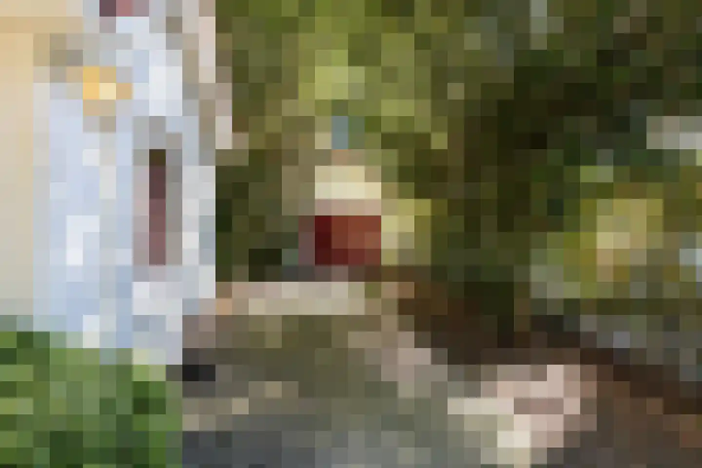 Rembrandtlaan 18 C Huis ter Heide thumbnail 25