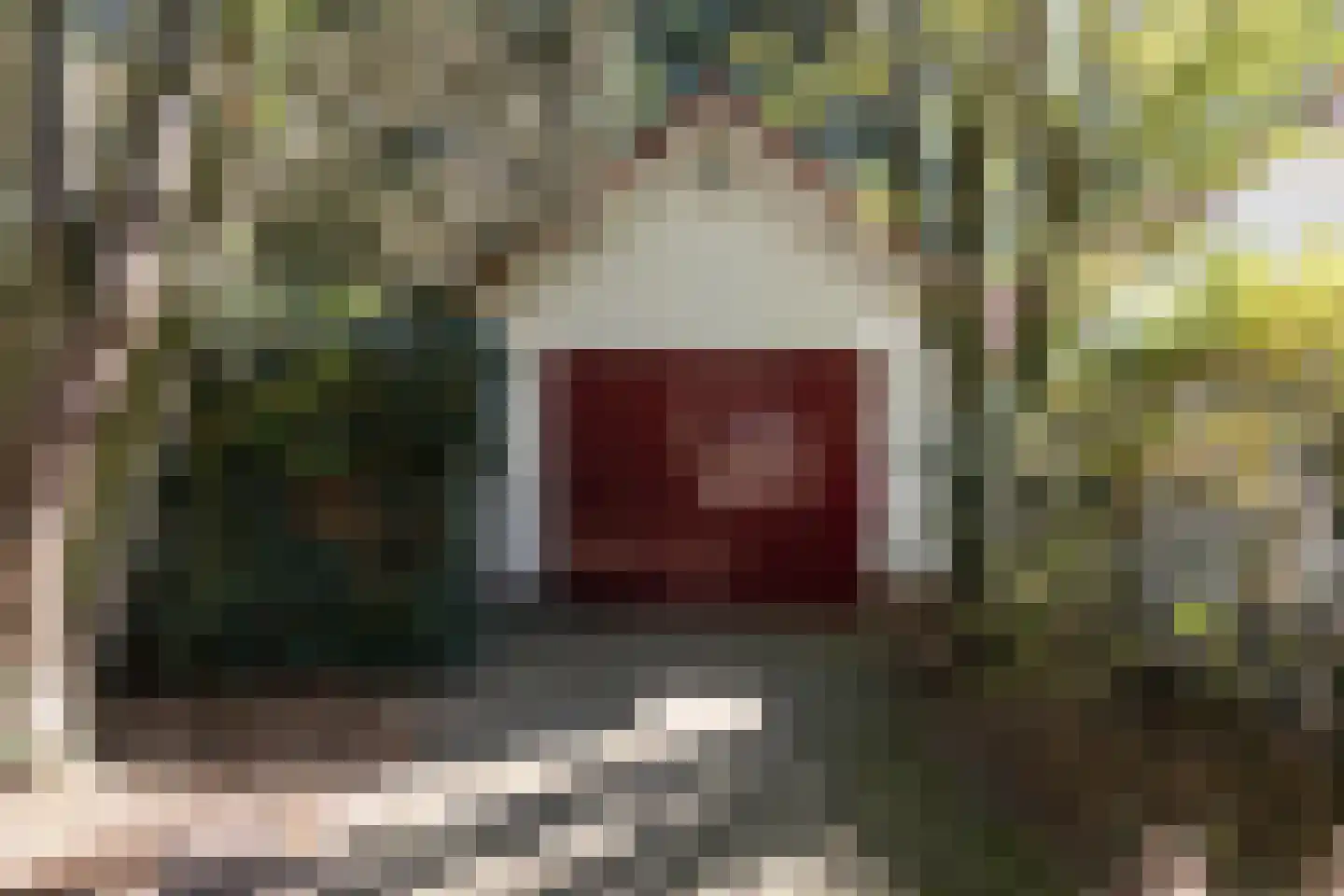 Rembrandtlaan 18 C Huis ter Heide thumbnail 26