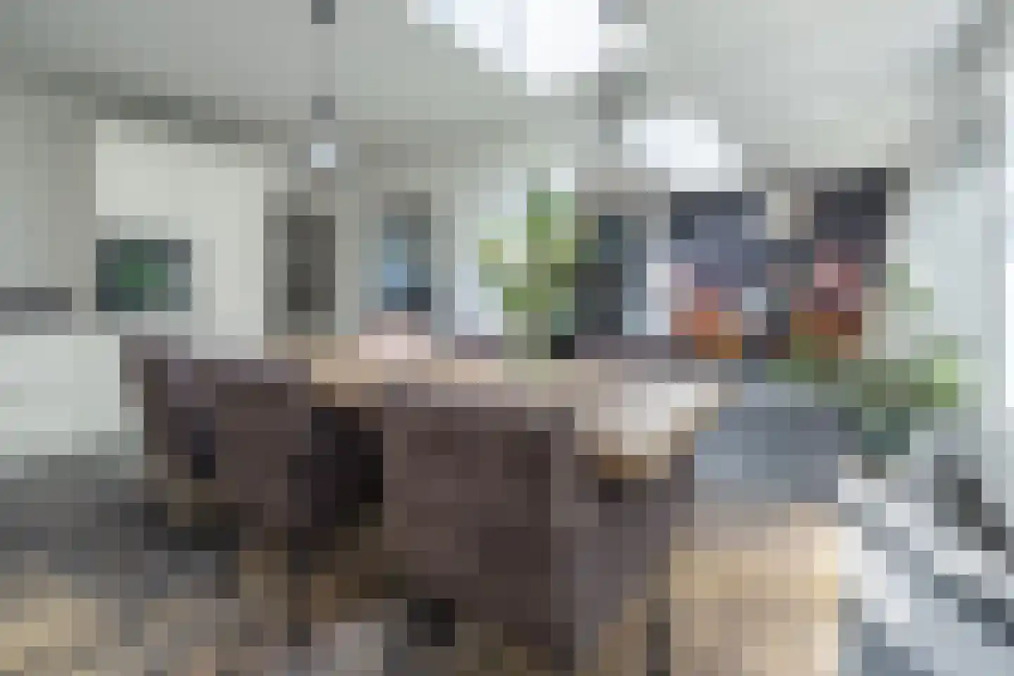 Rembrandtlaan 18 Doorn thumbnail 16