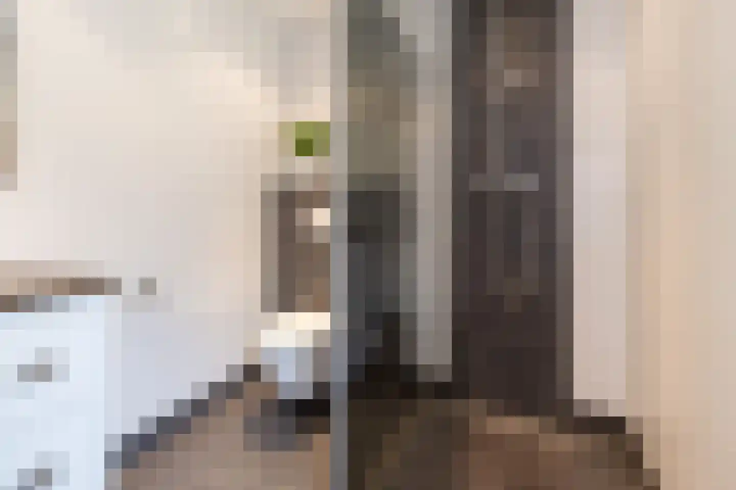 Rembrandtlaan 18 Doorn thumbnail 31