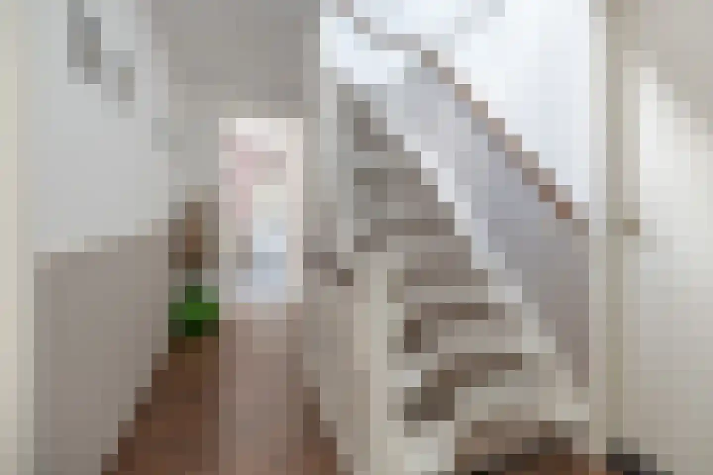 Rembrandtlaan 18 Doorn thumbnail 32