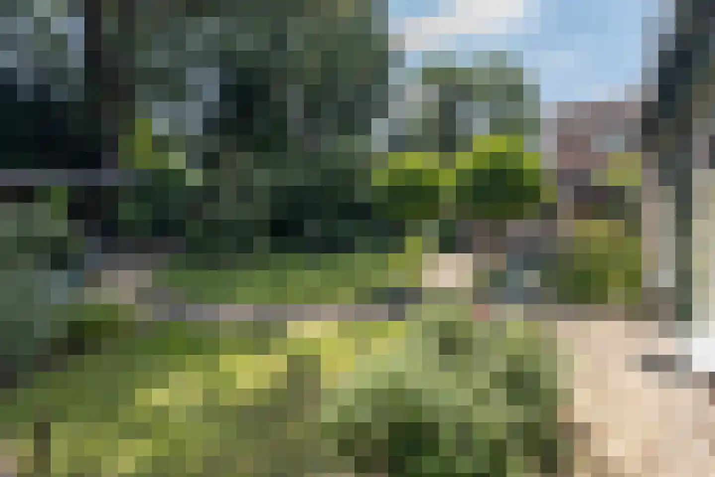 Rembrandtlaan 18 Doorn thumbnail 38