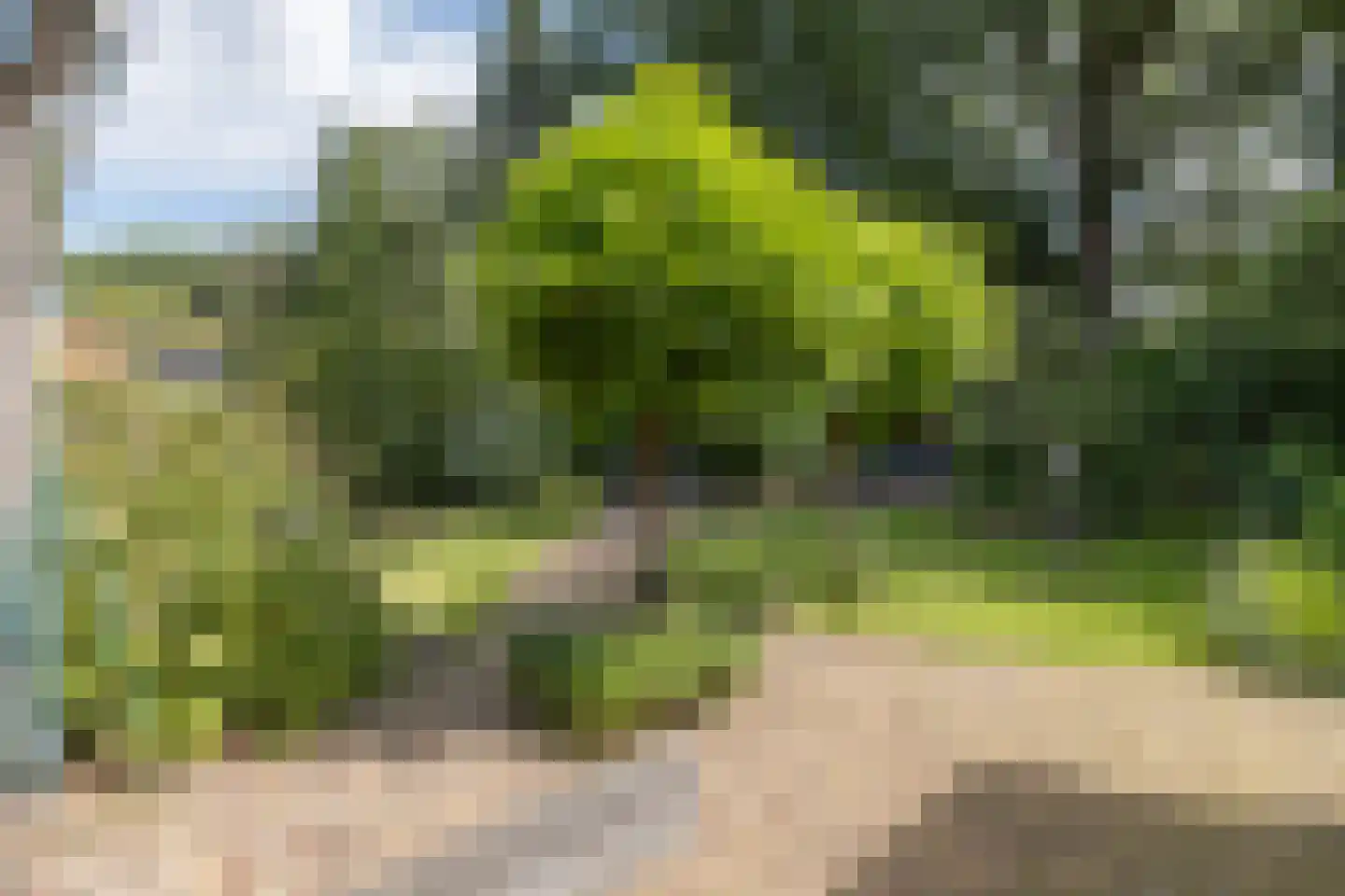 Rembrandtlaan 18 Doorn thumbnail 39