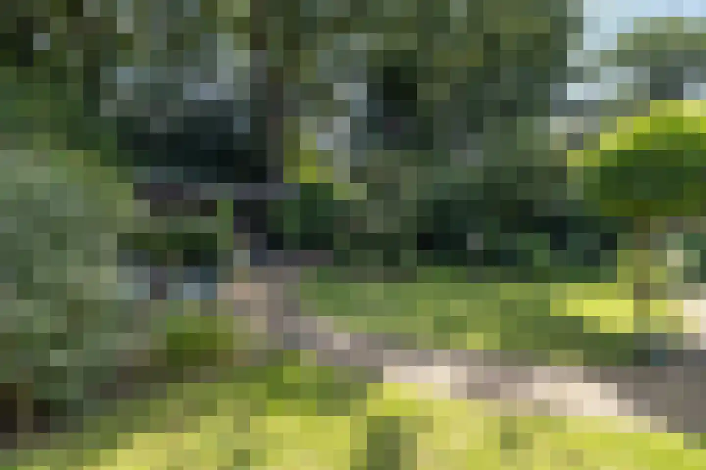 Rembrandtlaan 18 Doorn thumbnail 41
