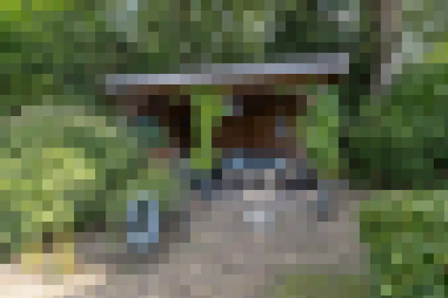 Rembrandtlaan 18 Doorn thumbnail 42