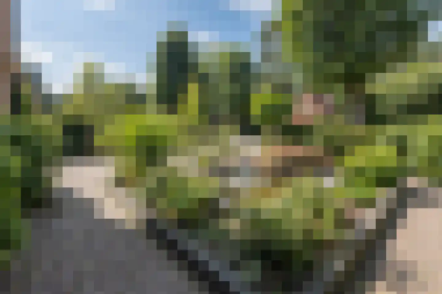 Rembrandtlaan 18 Doorn thumbnail 51
