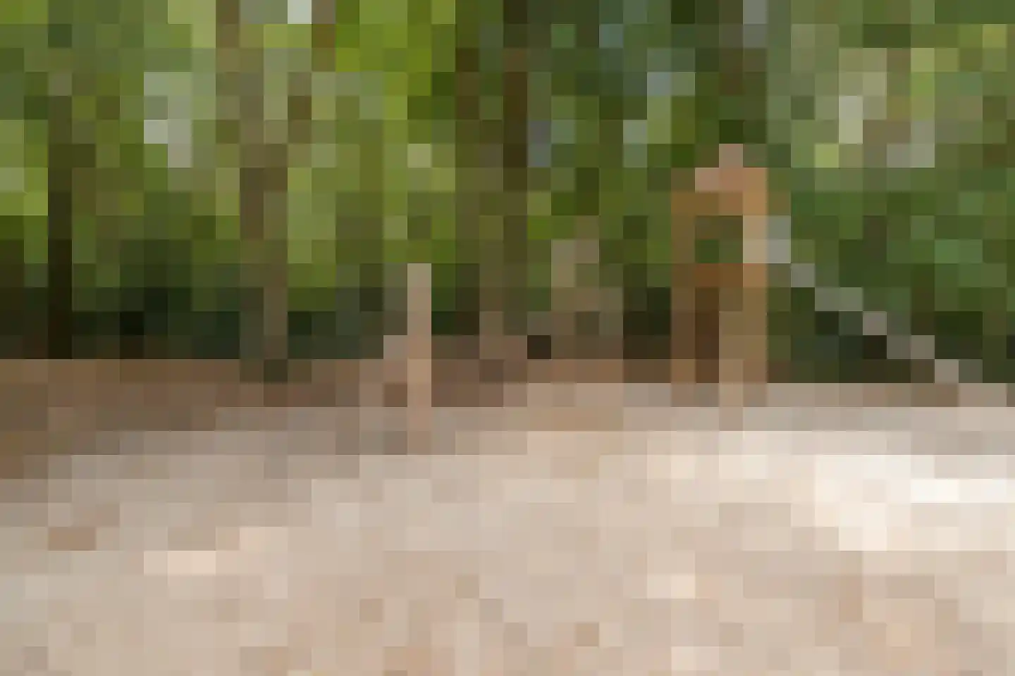Rembrandtlaan 18 Doorn thumbnail 58