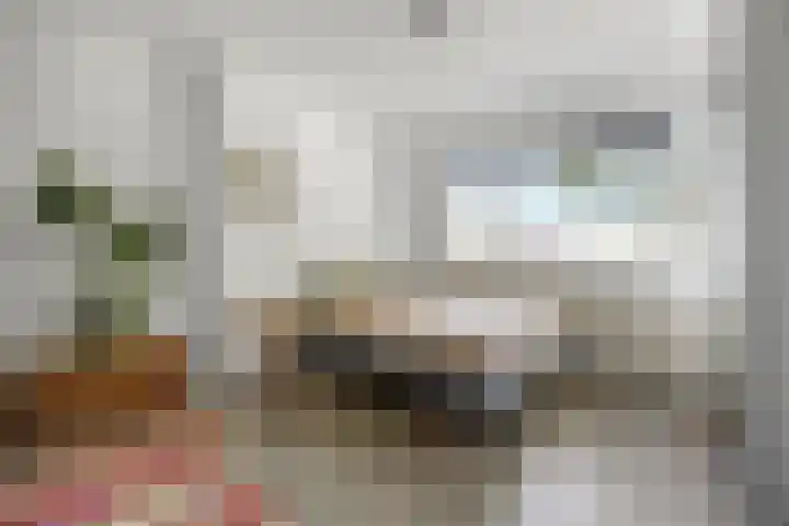 Rembrandtlaan 19 Arnhem thumbnail 23