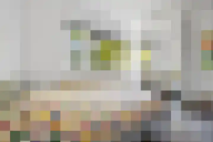 Rembrandtlaan 19 Arnhem thumbnail 24