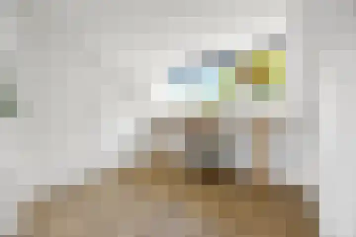Rembrandtlaan 19 Arnhem thumbnail 31