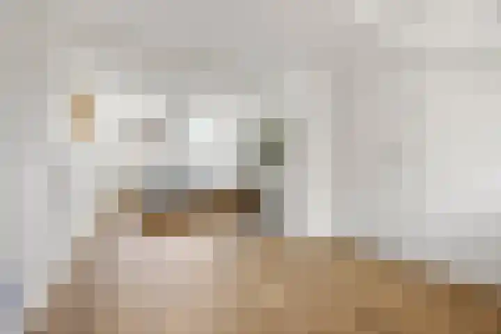 Rembrandtlaan 19 Arnhem thumbnail 32