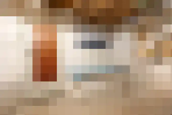Rembrandtlaan 19 Arnhem thumbnail 39